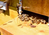 Article thumbnail