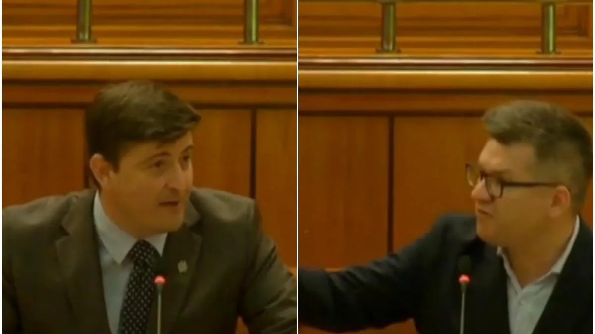 'Josnicie, sex și rușine'. Parlamentul, transformat în circ: Neamțu (AUR) și Dimitriu (USR), duel cu jigniri și acuzații bizare