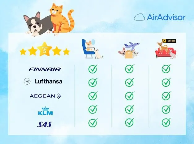 campanii aeriene pet friendly campanii aeriene pet friendly