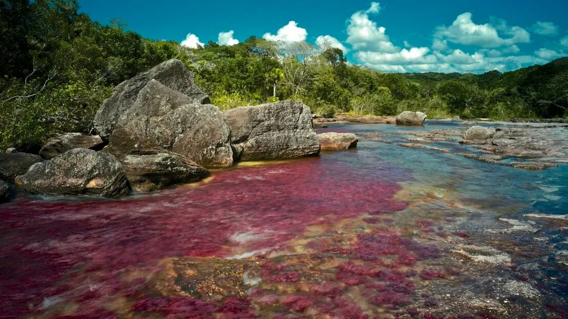 Caño Cristales, Colombia