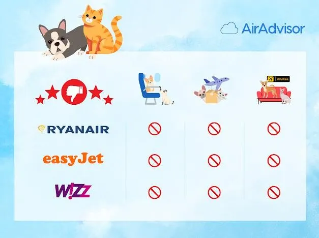 companii aeriene pet friendly companii aeriene pet friendly