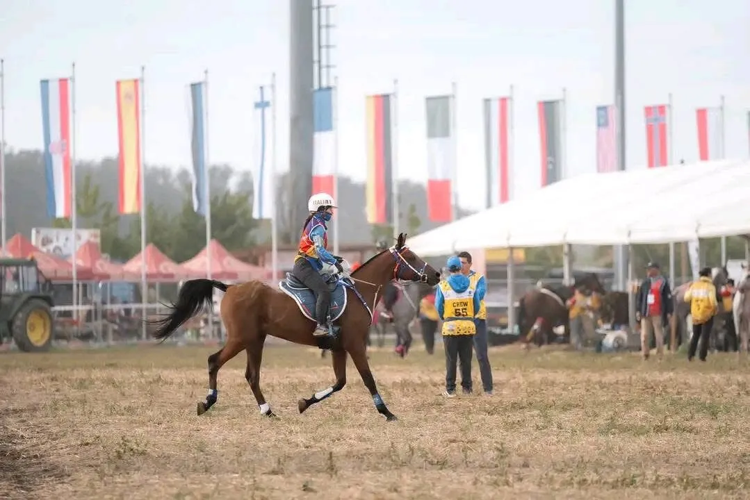 România a scris istorie la Buftea la CM de Anduranță Ecvestră
