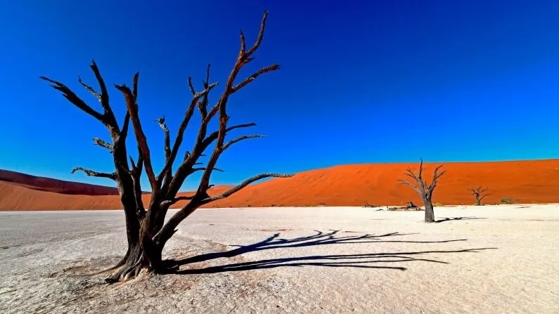 Dead Vlei, Namibia