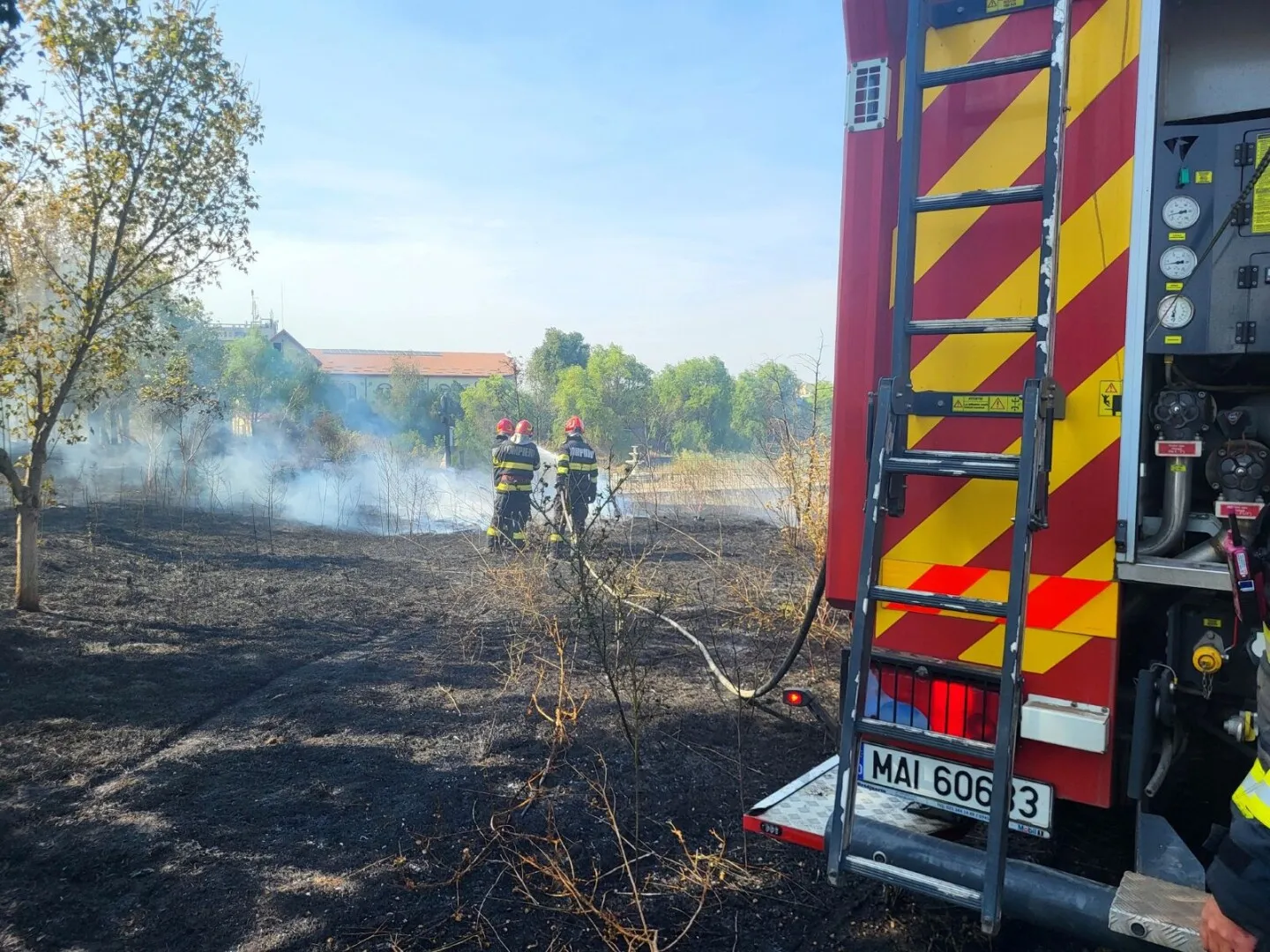 FOTO ALERTĂ: Incendiu puternic în Parcul Steaua Dunării