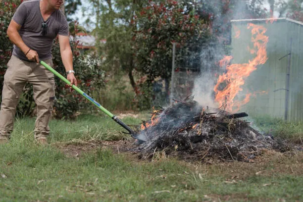 incendiu vegetatie