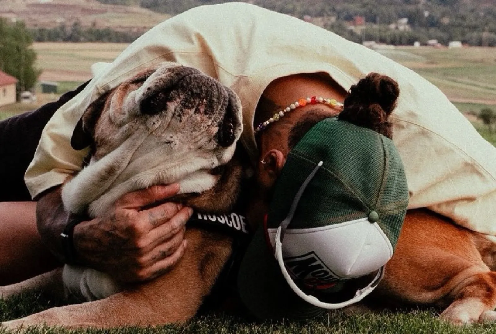 Câinele lui Lewis Hamilton și simbol în paddockul F1 a murit