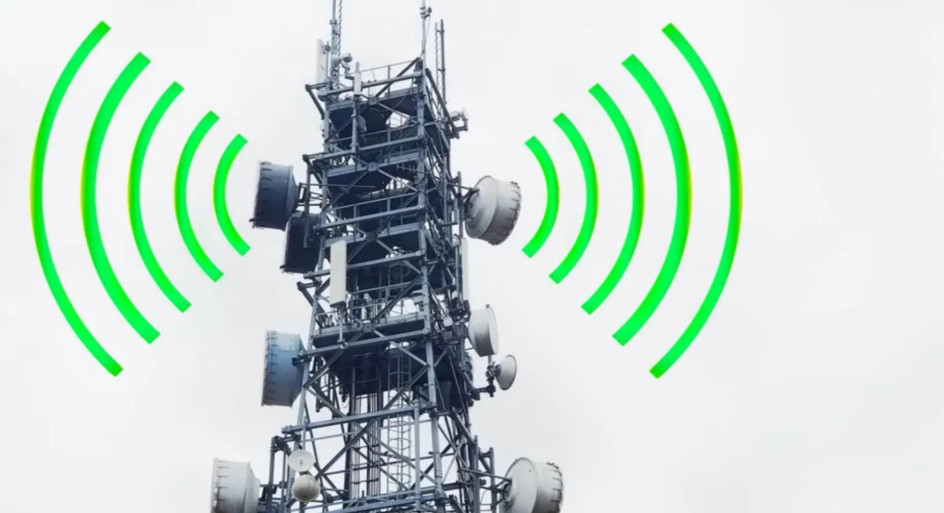 Ceva bizar și periculos se înâmplă cu societatea noastră: cum ascensiunea rețelelor sociale a creat gândirea disfuncțională