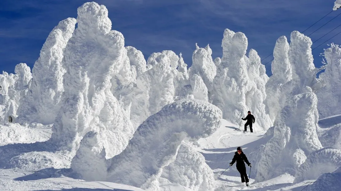 Snow Monsters, Mount Zao, Japan