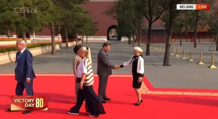 viorica dăncilă china