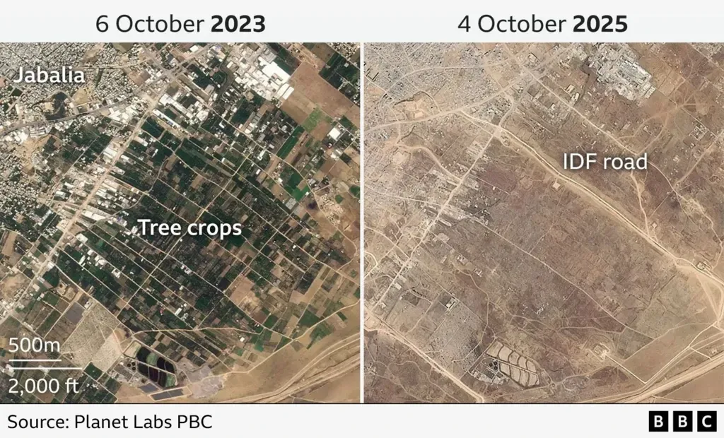 agricultură Gaza