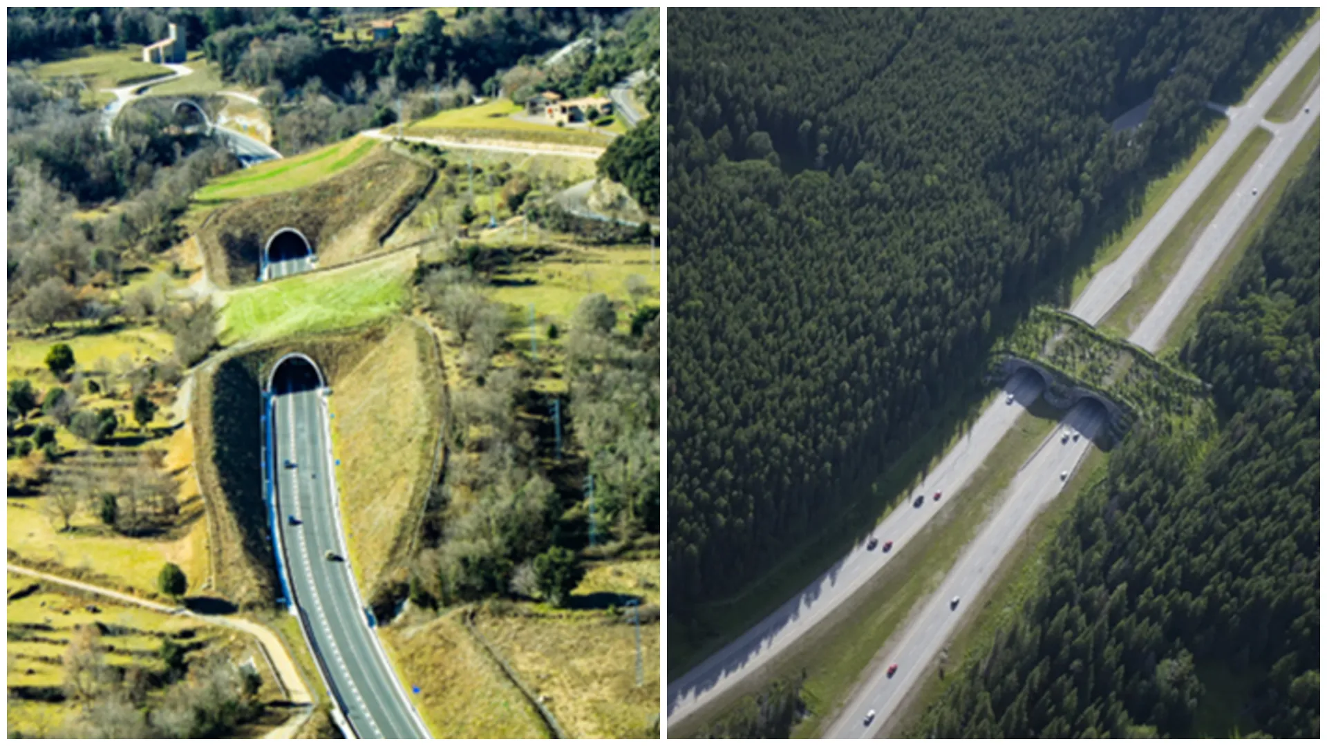 DOCUMENT - Se construiește autostrada prezidențială: Un proiect de o complexitate incredibilă va pune capăt coșmarului de pe Valea Prahovei