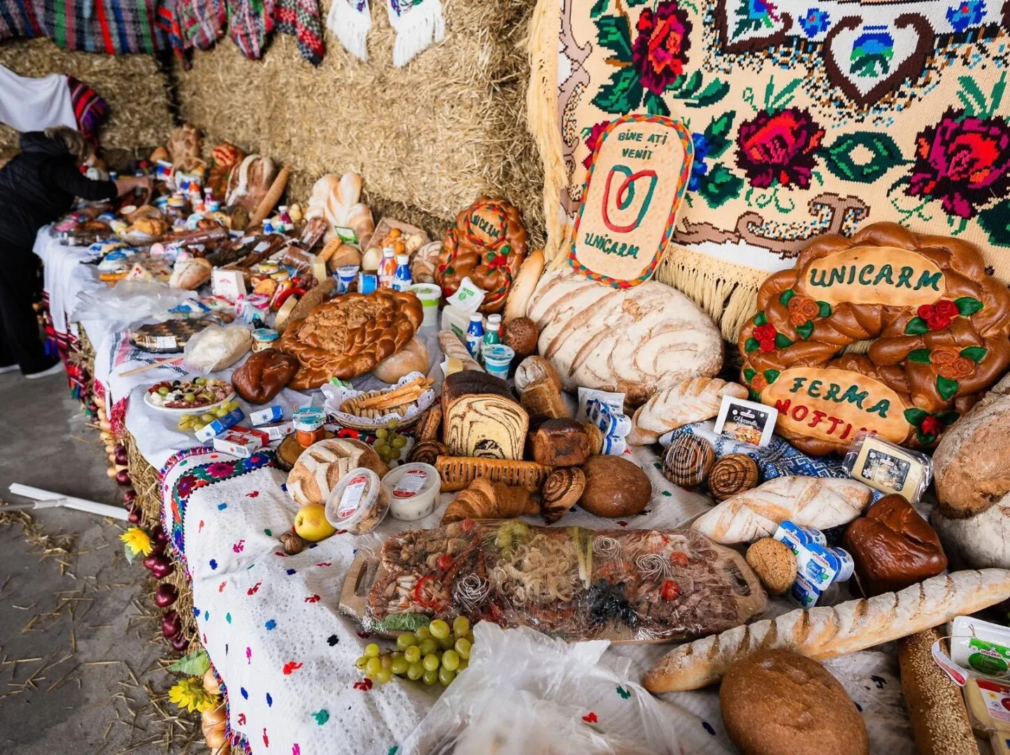 bolojan satu mare 1 bolojan satu mare 1