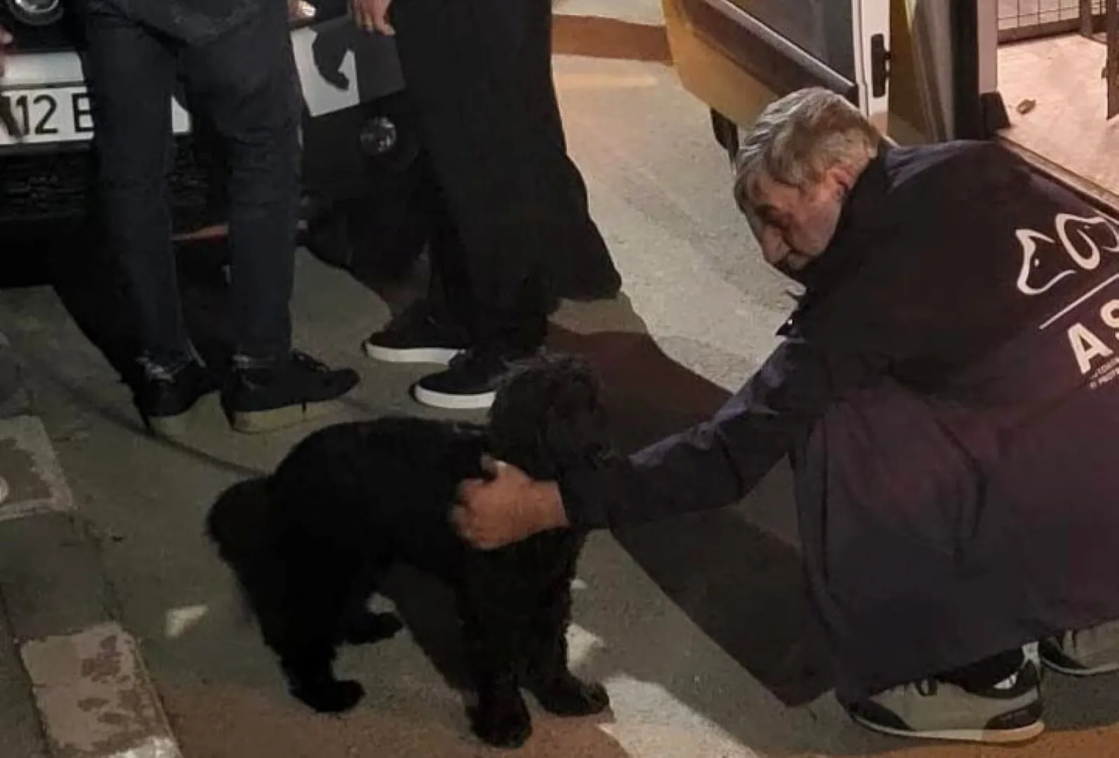 Bărbatul filmat când îşi loveşte câinele, urmărit penal – ce au stabilit anchelatorii. Câinele, preluat de ASPA Bucureşti / FOTO