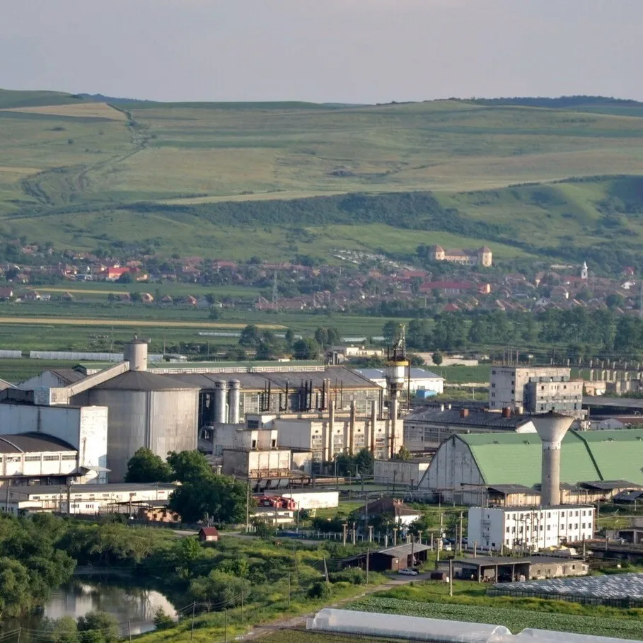 'Cumpără românește – susține economia locală și viitorul industriei zahărului românesc!' Povestea de succes a Fabricii de Zahăr Premium Luduș