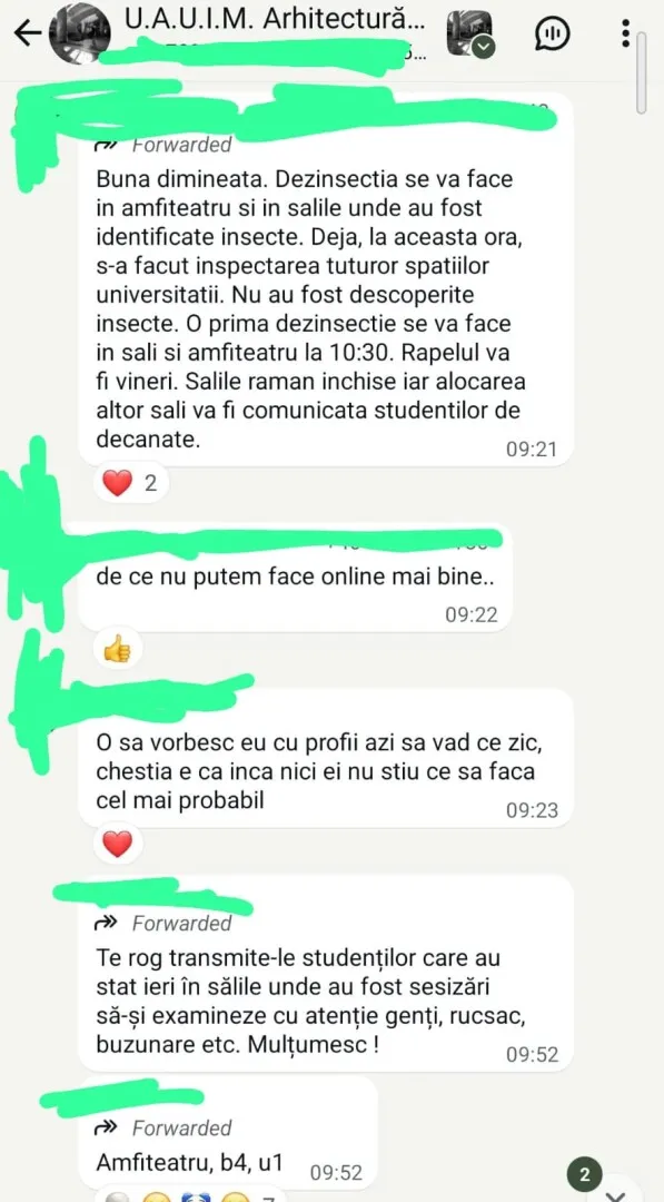 grup whatsapp arhitectura