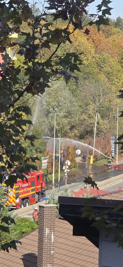 incendiu pipera