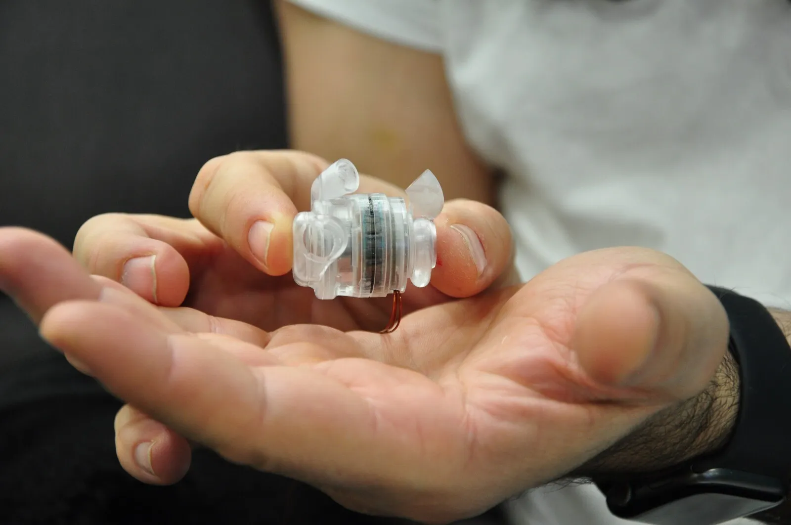 inima miniatura inima miniatura