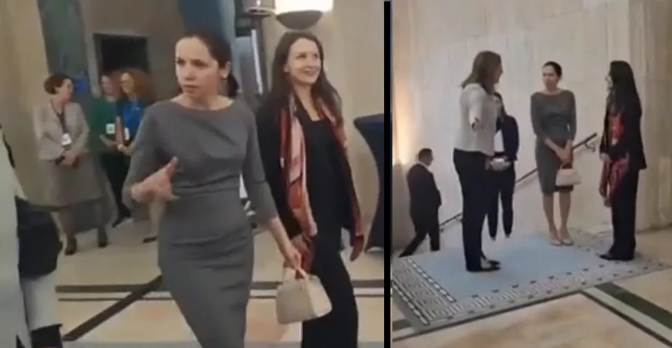 Mirabela Grădinaru, partenera președintelui Nicușor Dan, a ajuns la Guvern: 'Prima doamnă' vorbește în locul soțului său