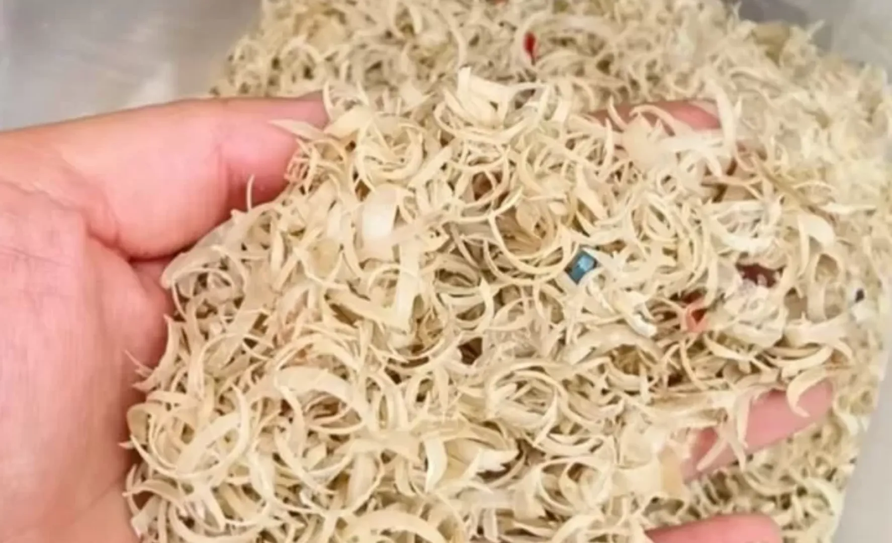 Chinezii își vând online unghiile tăiate: cât costă un kilogram, cine și de ce le cumpără