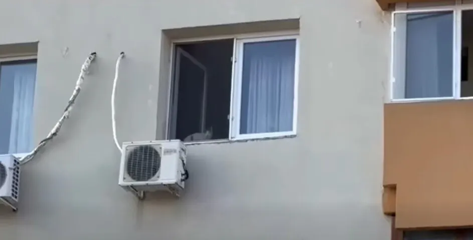 pisica la geam explozie