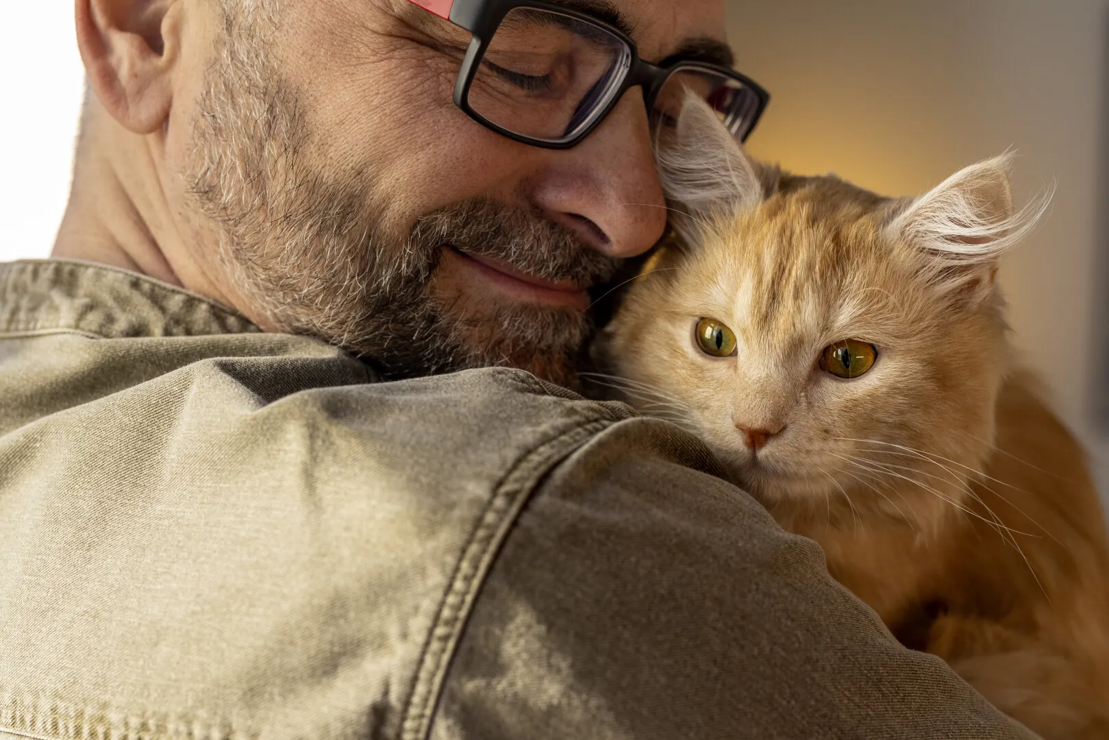 Cum ne-au 'programat' pisicile creierul: S-a descoperit ce declanșează hormonul iubirii și creează dependență emoțională de micile feline - 'hackerii de sentimente'