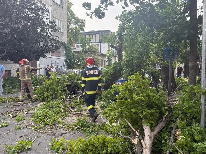 VIDEO Prăpăd în Capitală și Ilfov: Zeci de copaci puși la pământ, mașini avariate și intervenții 'pe bandă' ale pompierilor