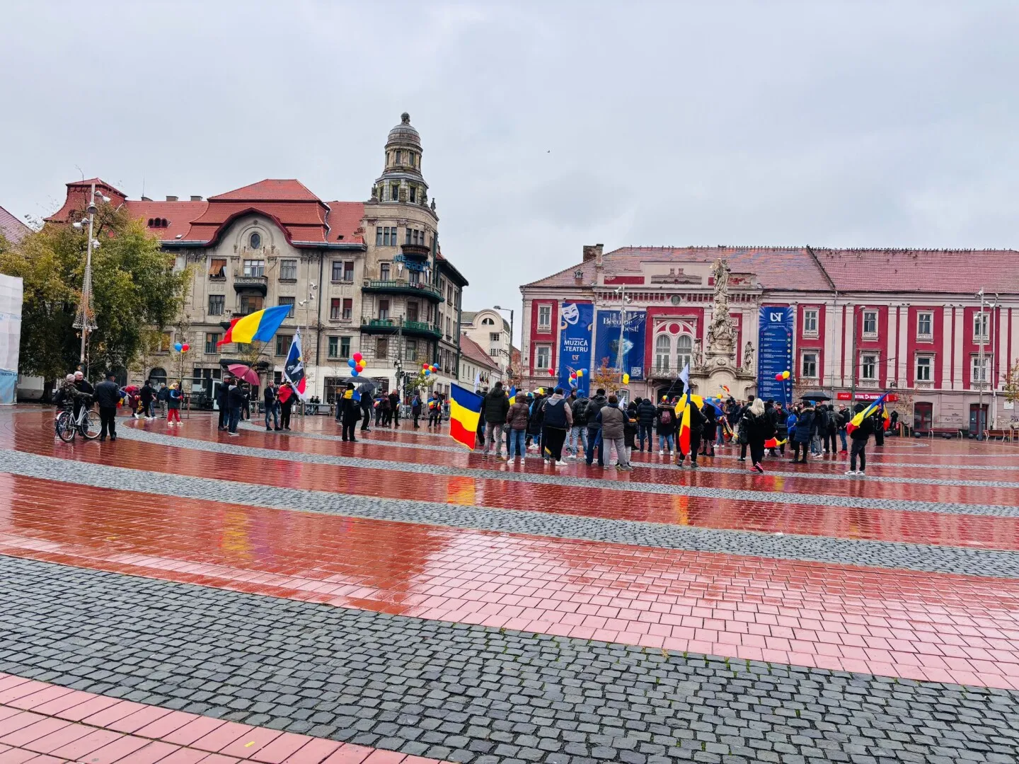 protest timisoara protest timisoara
