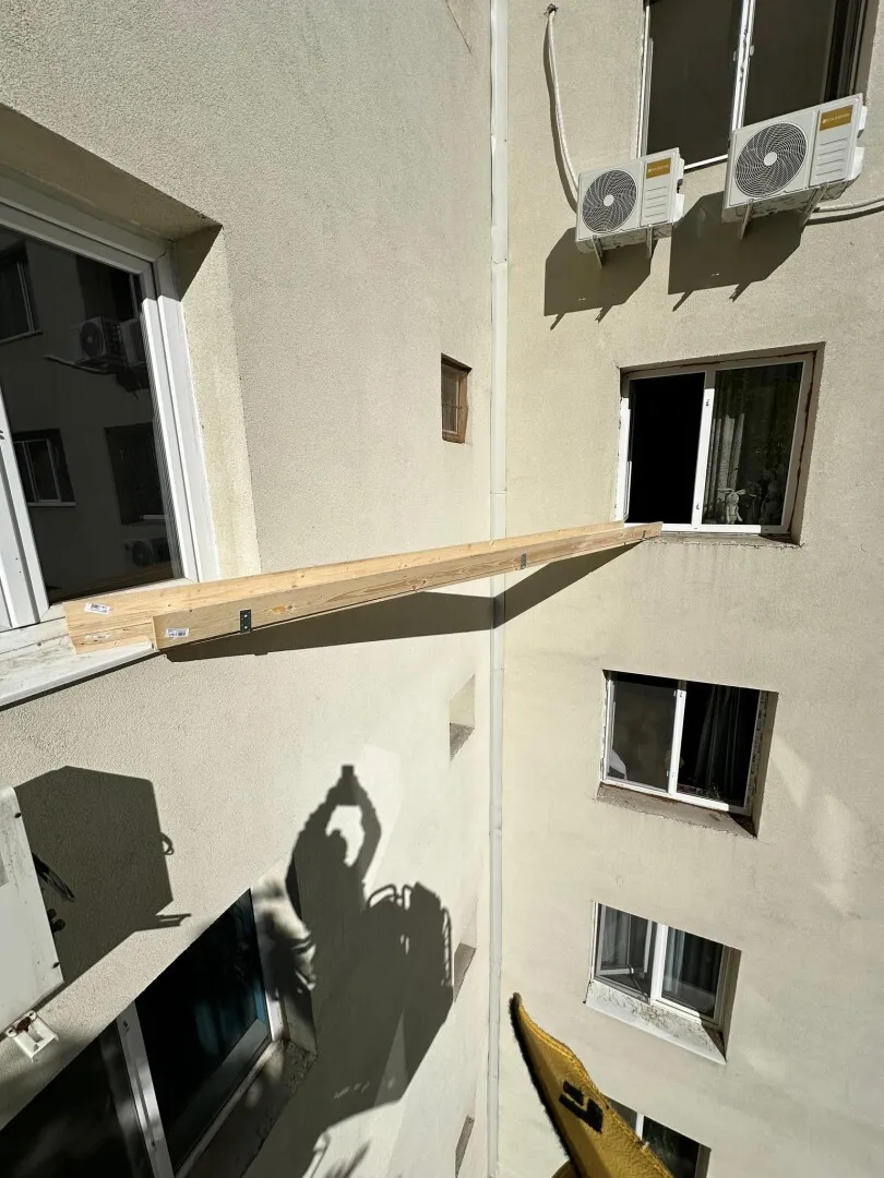 salvare pisică rahova salvare pisică rahova