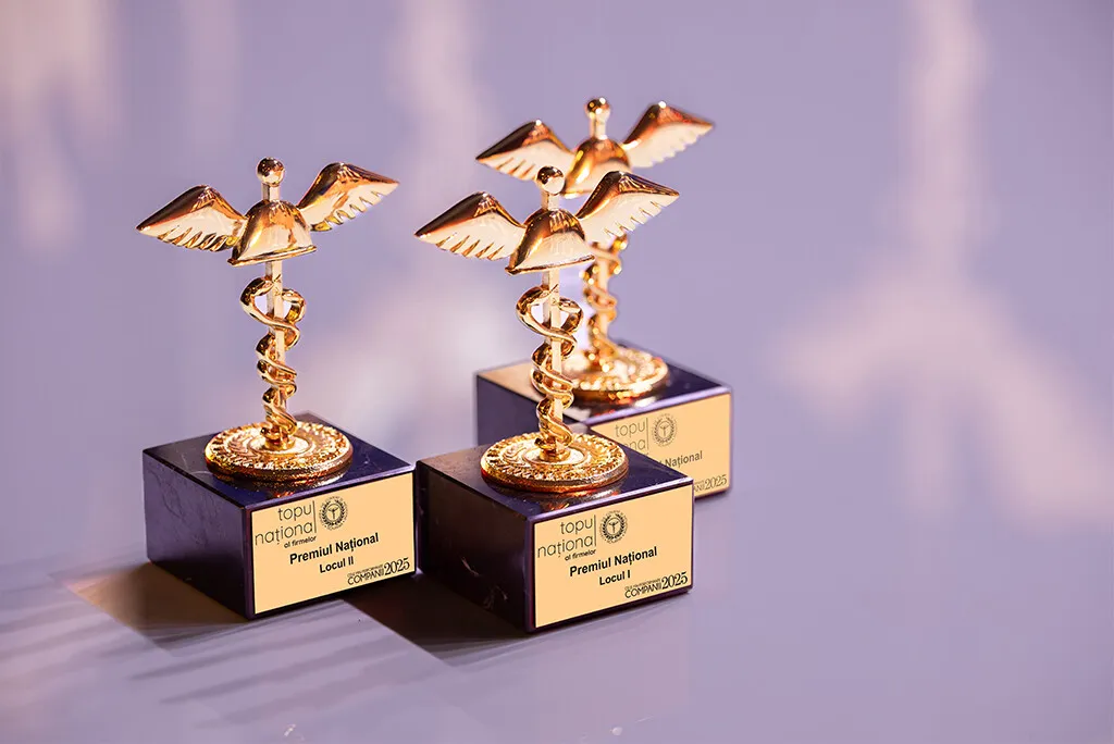 Topul Național al Firmelor 2025: Cifra de afaceri a celor mai performante companii din România depășește 287 miliarde euro