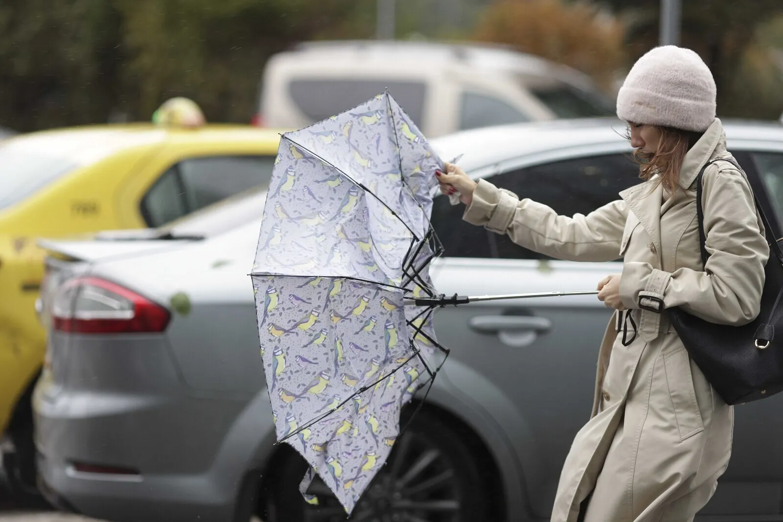 ANM a emis Cod Galben de vânt puternic în mai multe localități din țară / Harta zonelor vizate