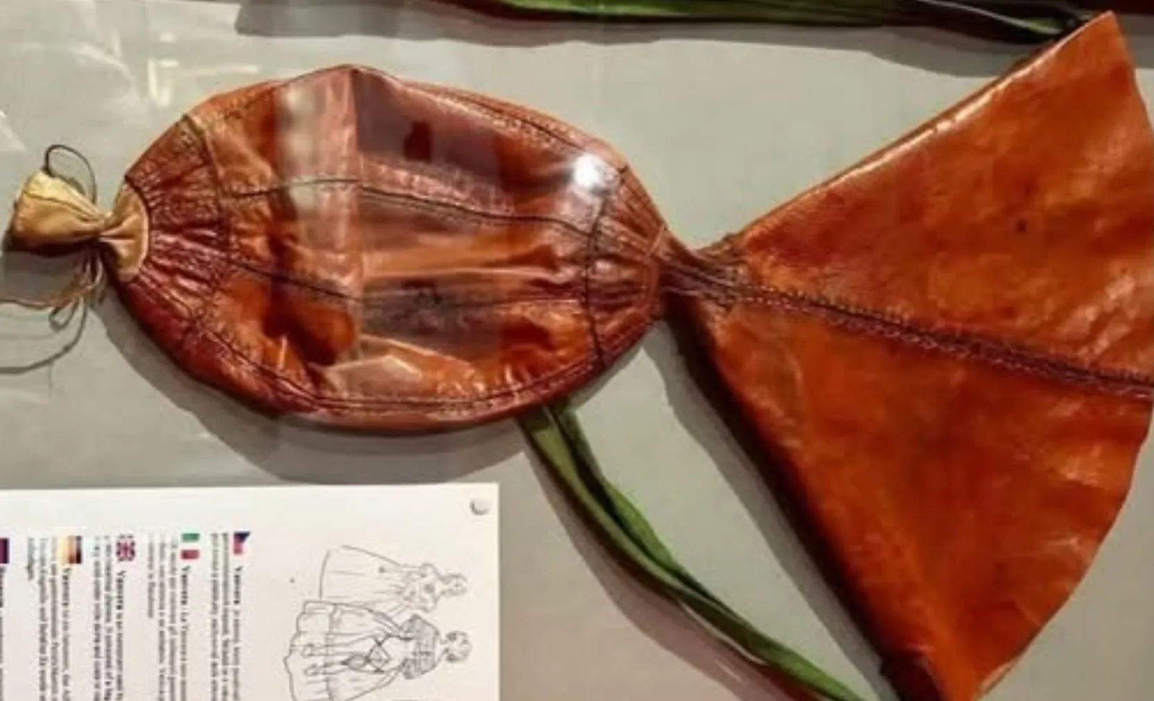 Accesoriul bizar pe care femeile aristocrate îl purtau sub rochiile elegante