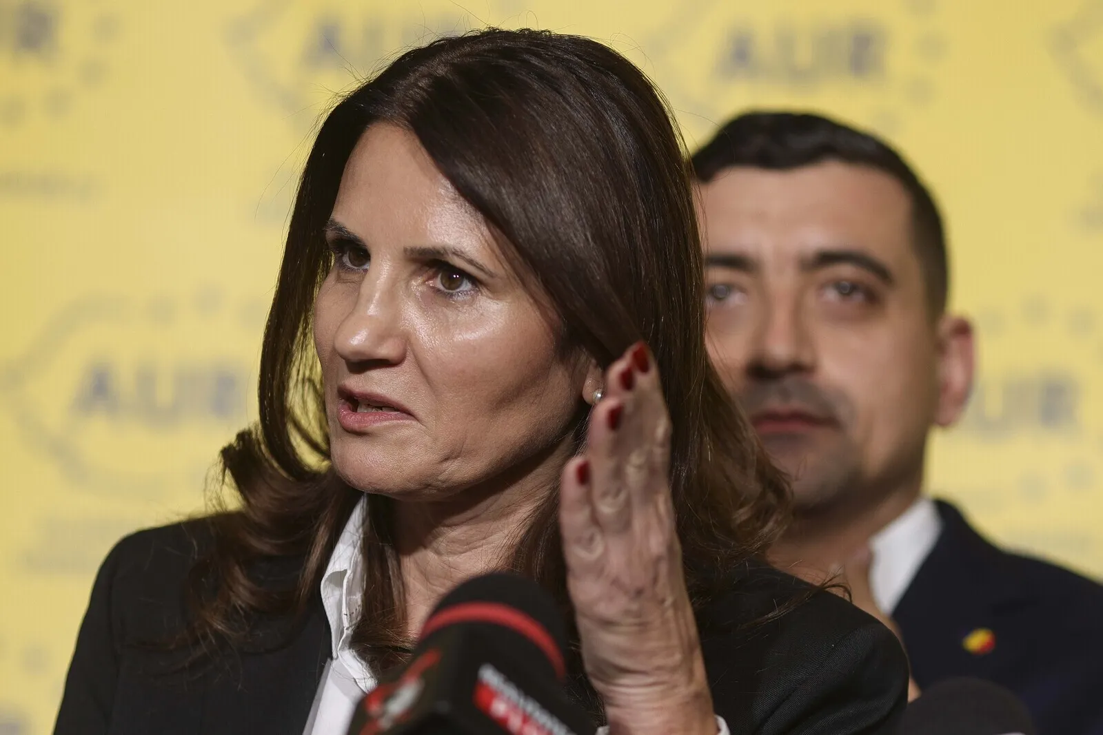 Anca Alexandrescu spune că este urmărită de o mașină. Ce apare în plângerea depusă la poliție de vecinii candidatei la Primăria Capitalei