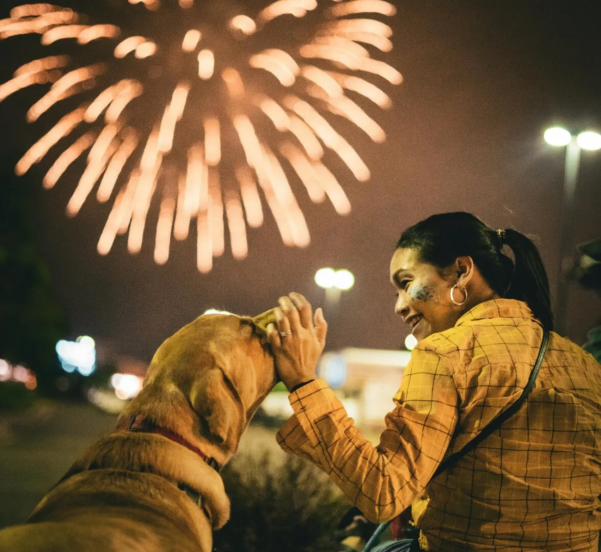 Încă un oraș din România renunță la artificii de Revelion pentru a proteja câinii și pisicile fără stăpân