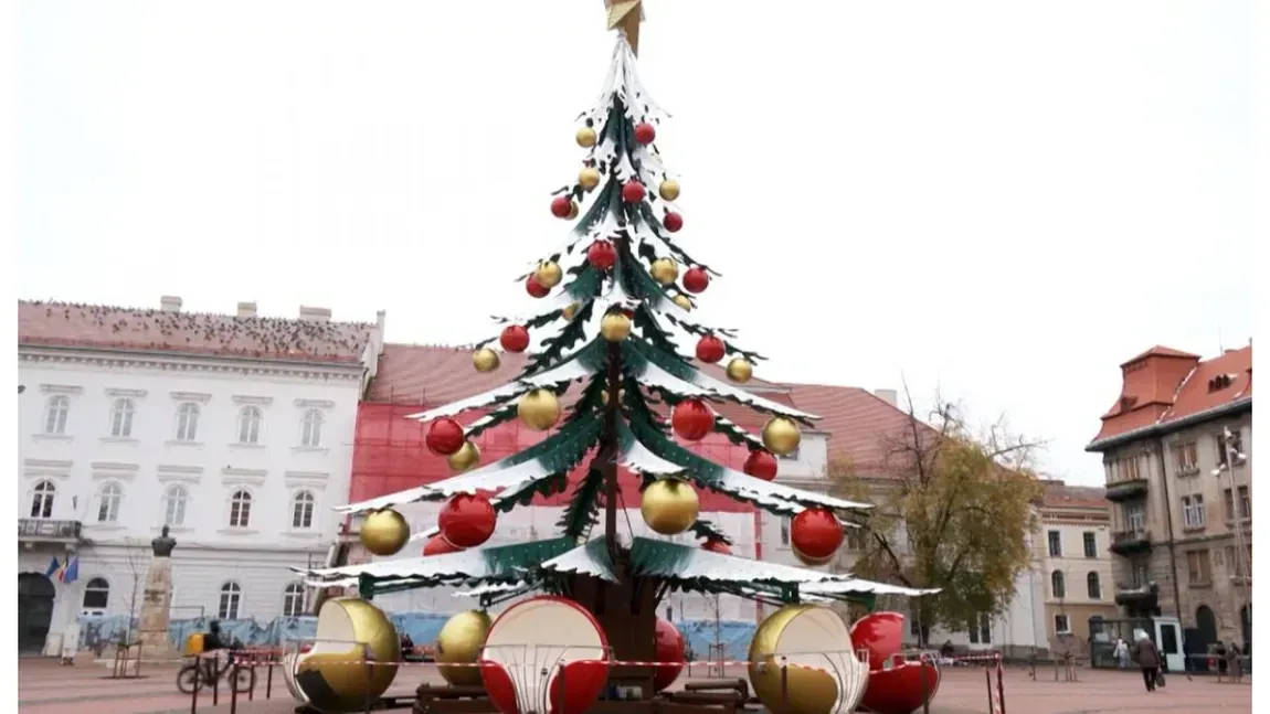 brad tablă - Timișoara