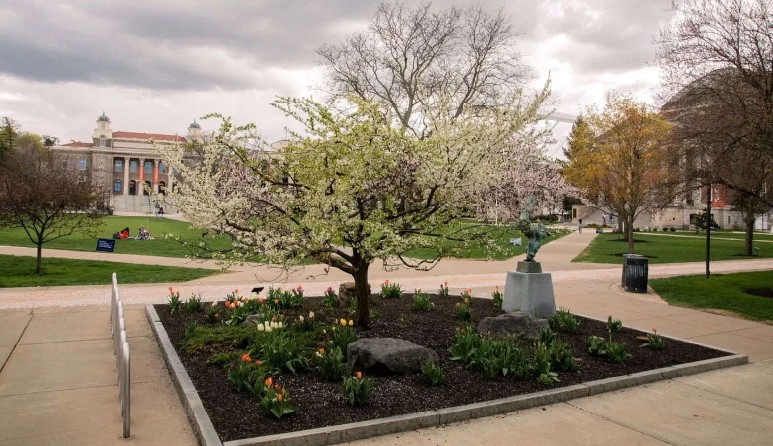 VIDEO/FOTO Un american a creat copacul Frankenstein care face 40 de fructe diferite si are un singur trunchi