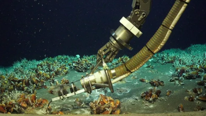 VIDEO O descoperire fără precedent în adâncul oceanului: Un fenomen ciudat generează un loc unic în lume