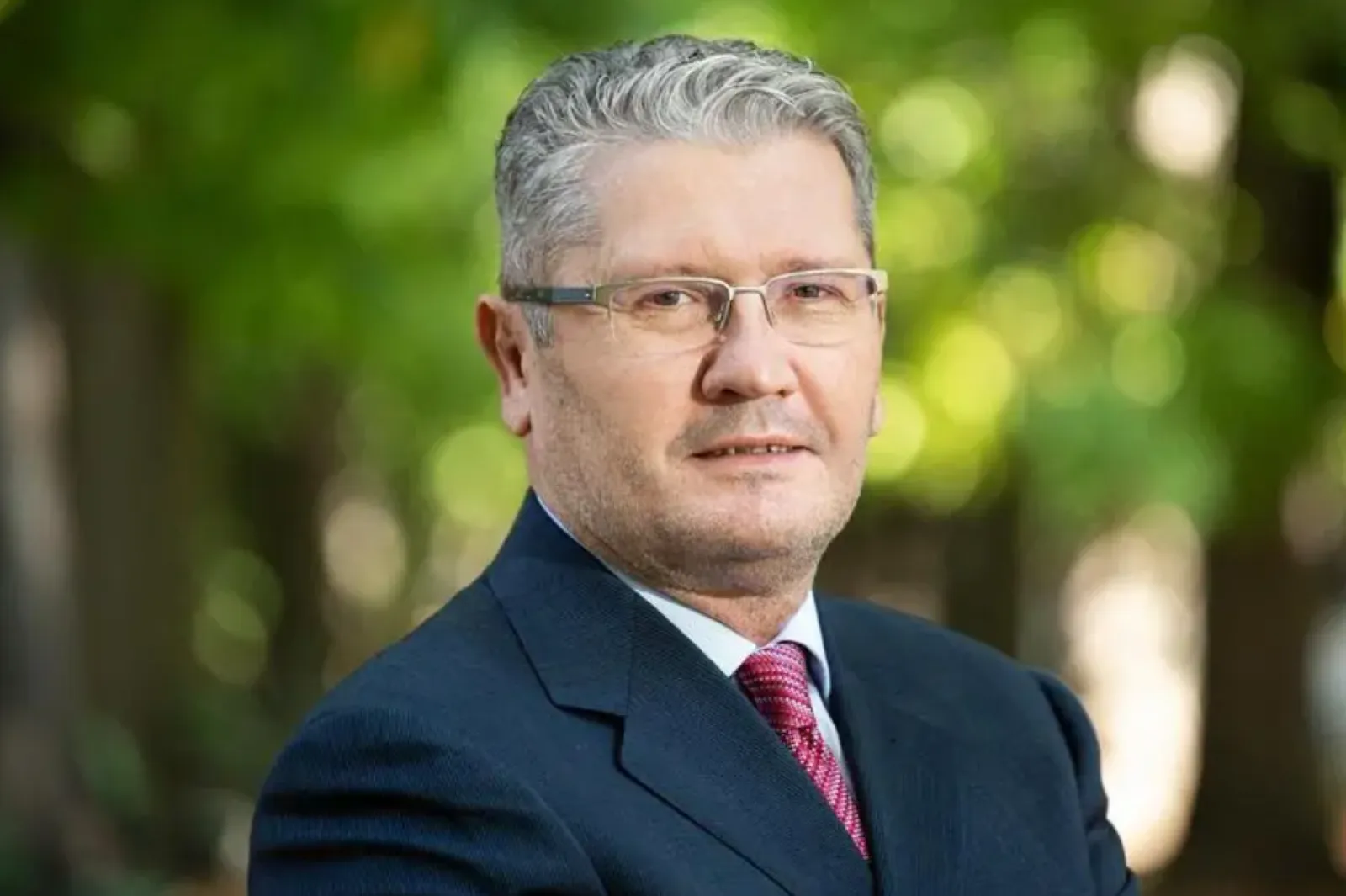 liviu negoita