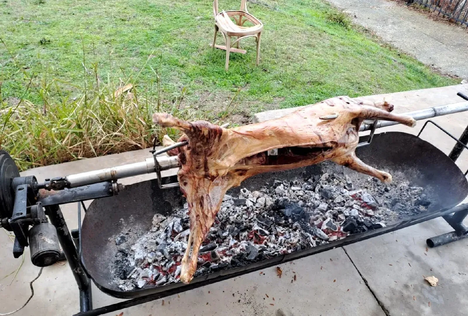 nețoiu proțap nețoiu proțap