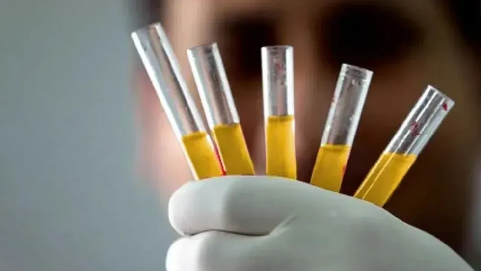 sange de aur sange de aur