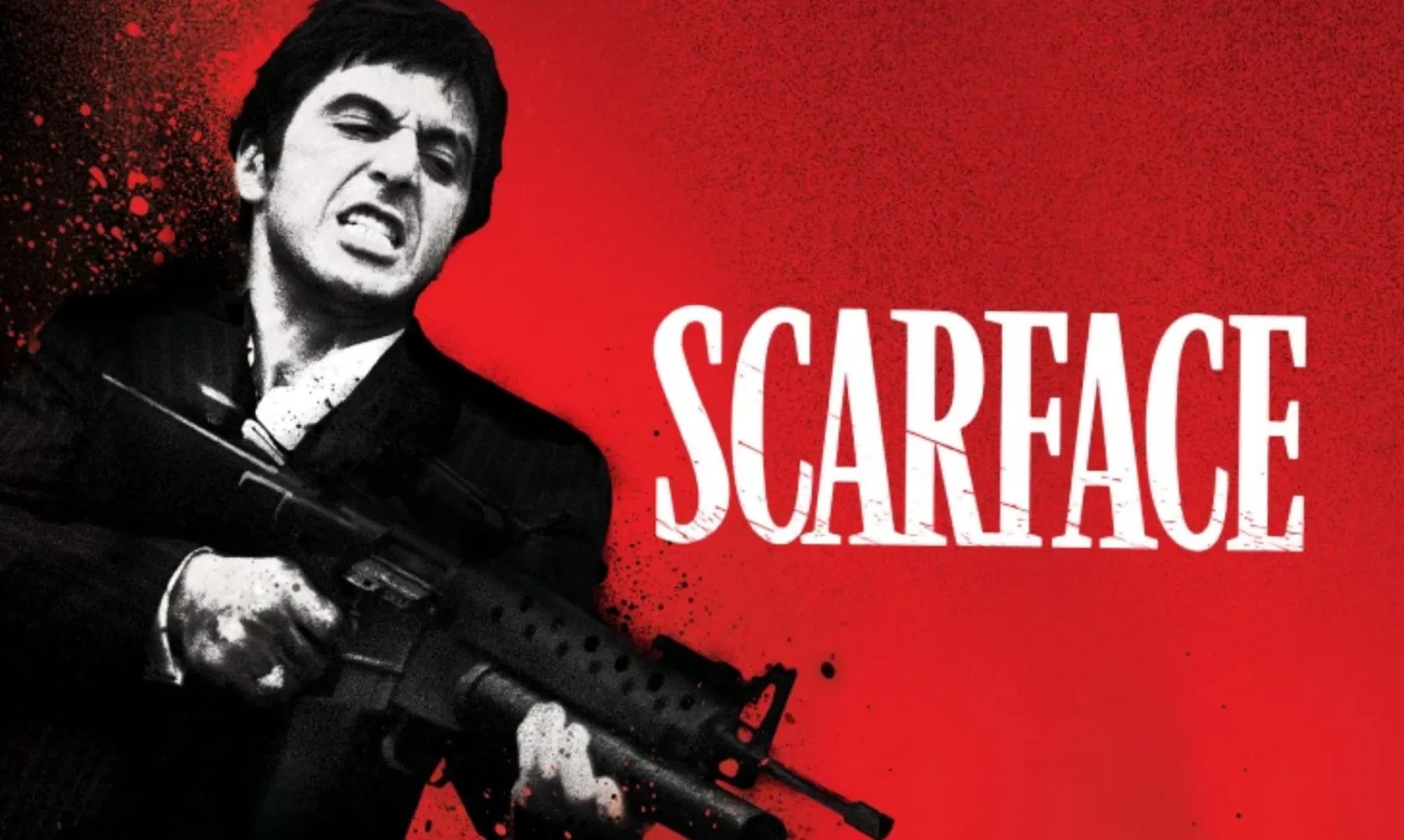 Cazul dramatic despre care Hollywood-ul nu vorbește: ce s-a întâmplat cu actrița ce apare în celebra scenă cu drujba din filmul Scarface