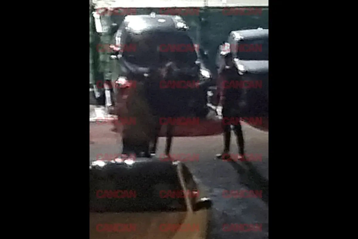 Valentina Aldea POT Oana Ungureanu