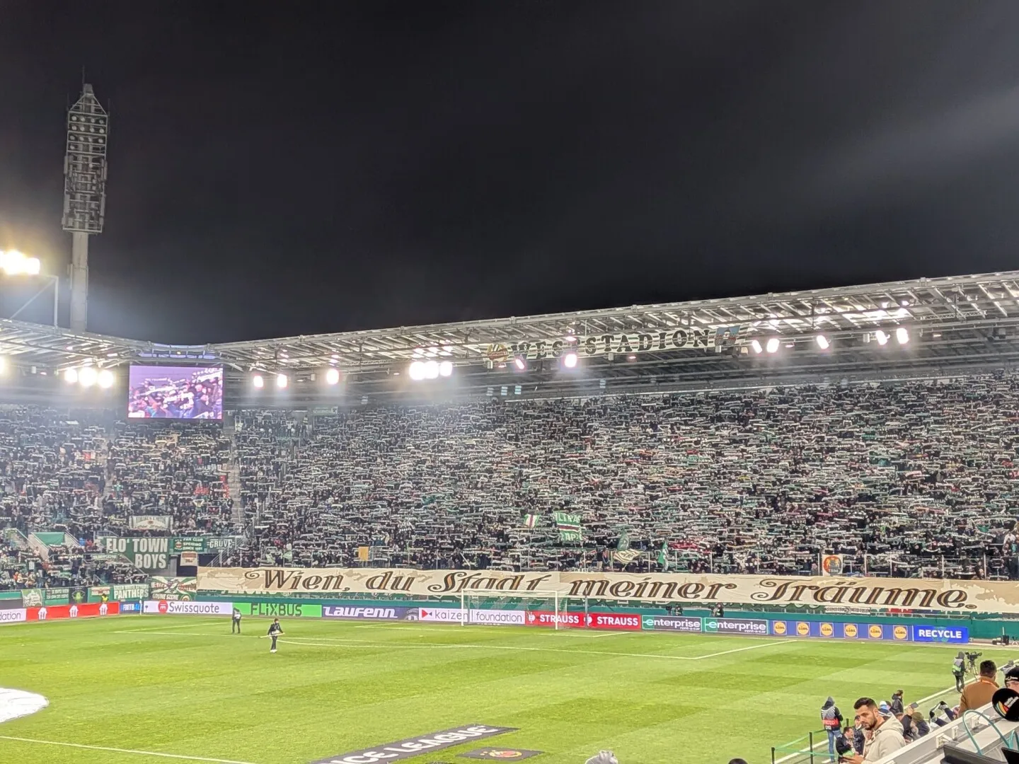 viena craiova viena craiova