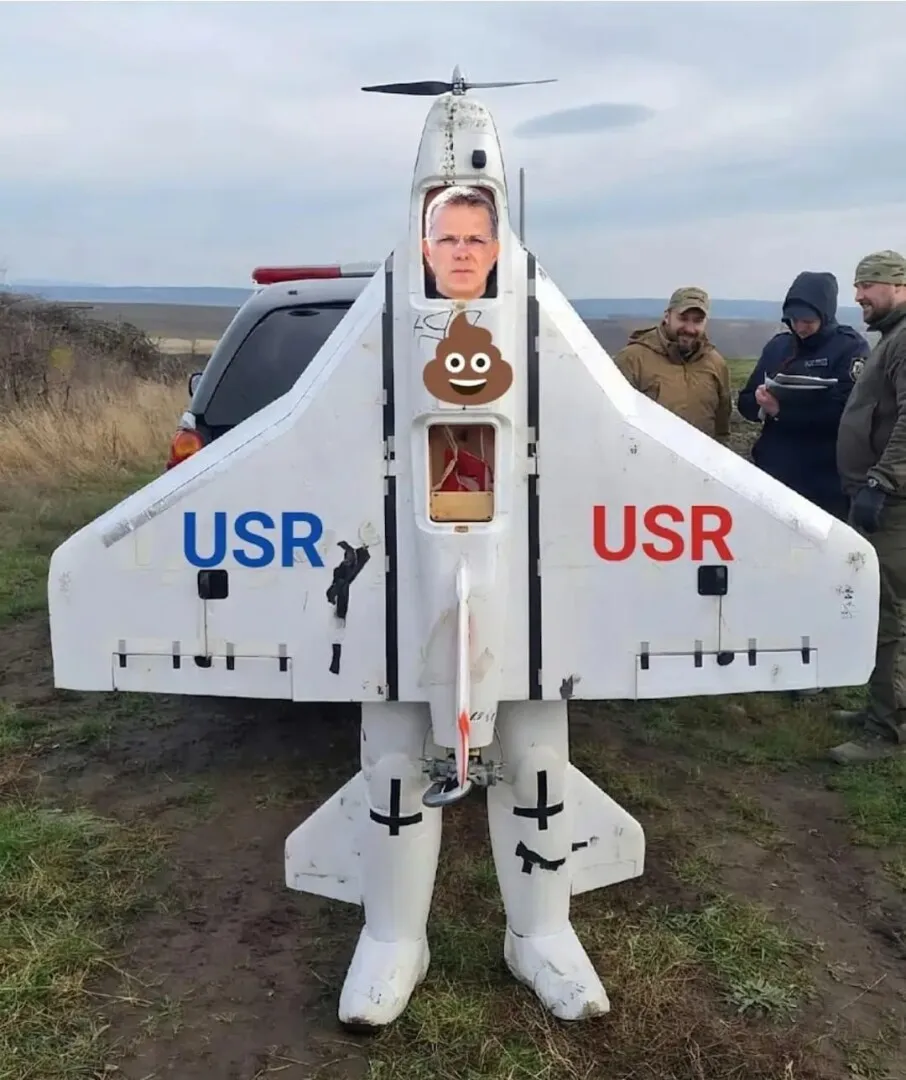 Domnului inginer Ionuț Moșteanu