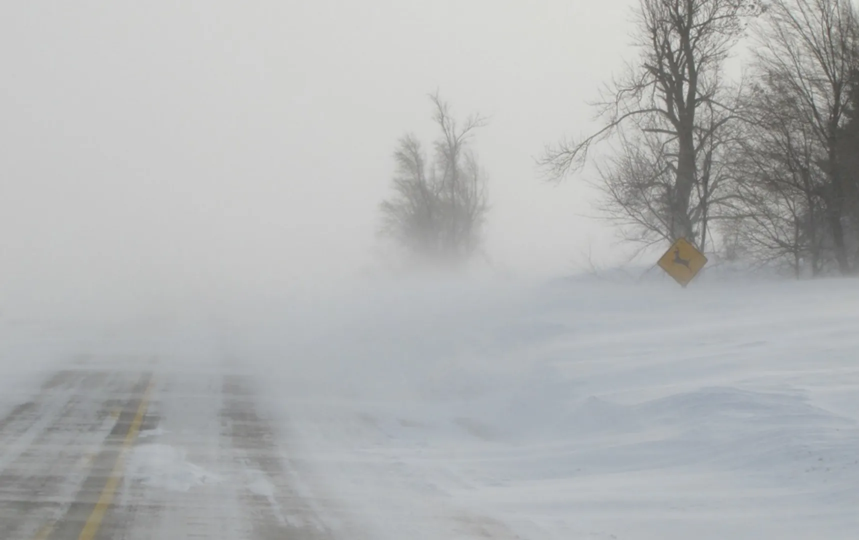 Cinci turiști au murit în urma unei puternice furtuni de zăpadă într-un parc național din sudul regiunii Patagoniei