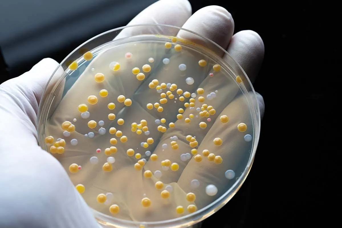 'Au fost sistate internările, vor fi preluate doar urgenţele': măsuri anunţate de ministrul Sănătăţii la spitalul de copii din Iaşi