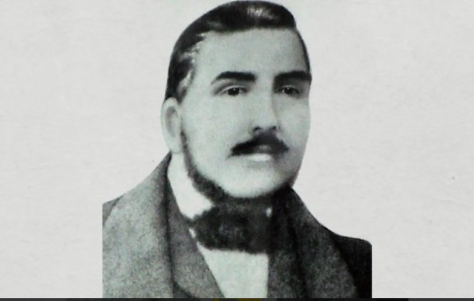 barbu vladoianu barbu vladoianu