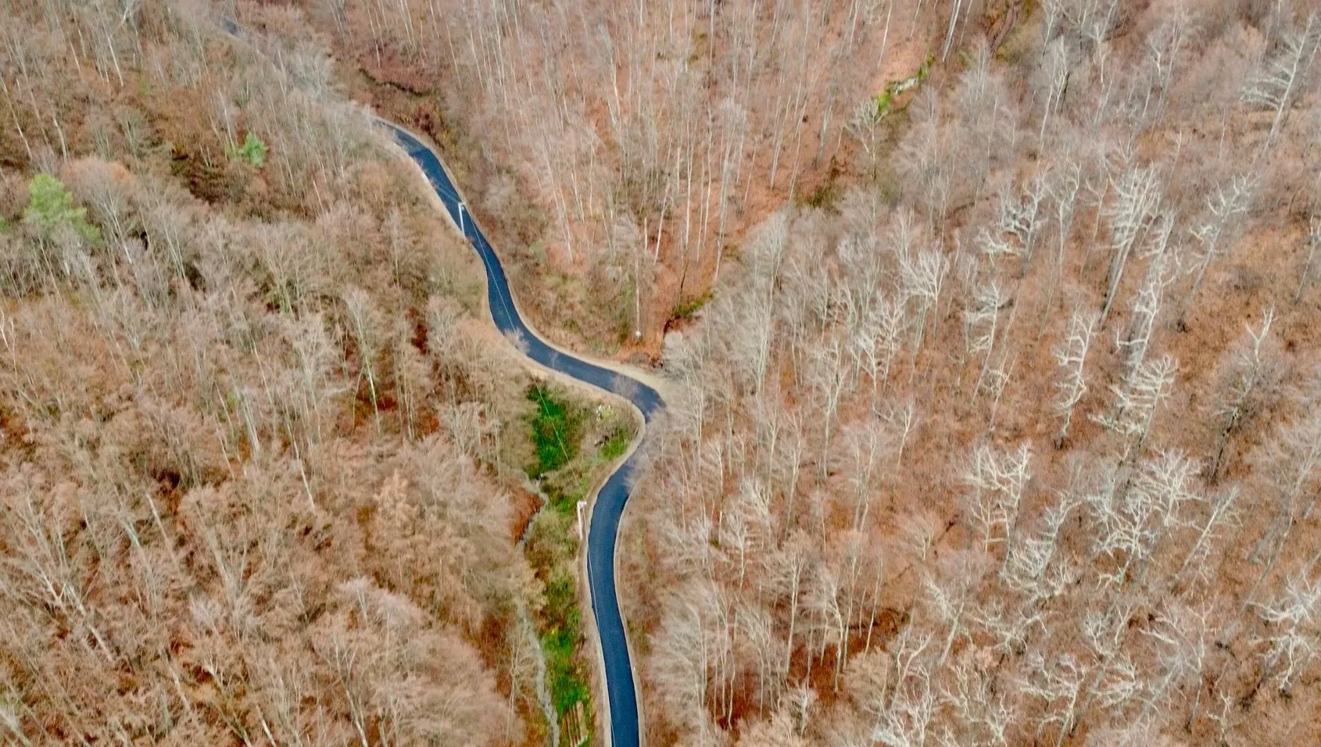 VIDEO Constantin Rădulescu (CJ Vâlcea): În prag de Moș Nicolae, asfalt nou, pe drumul județean din Olănești!