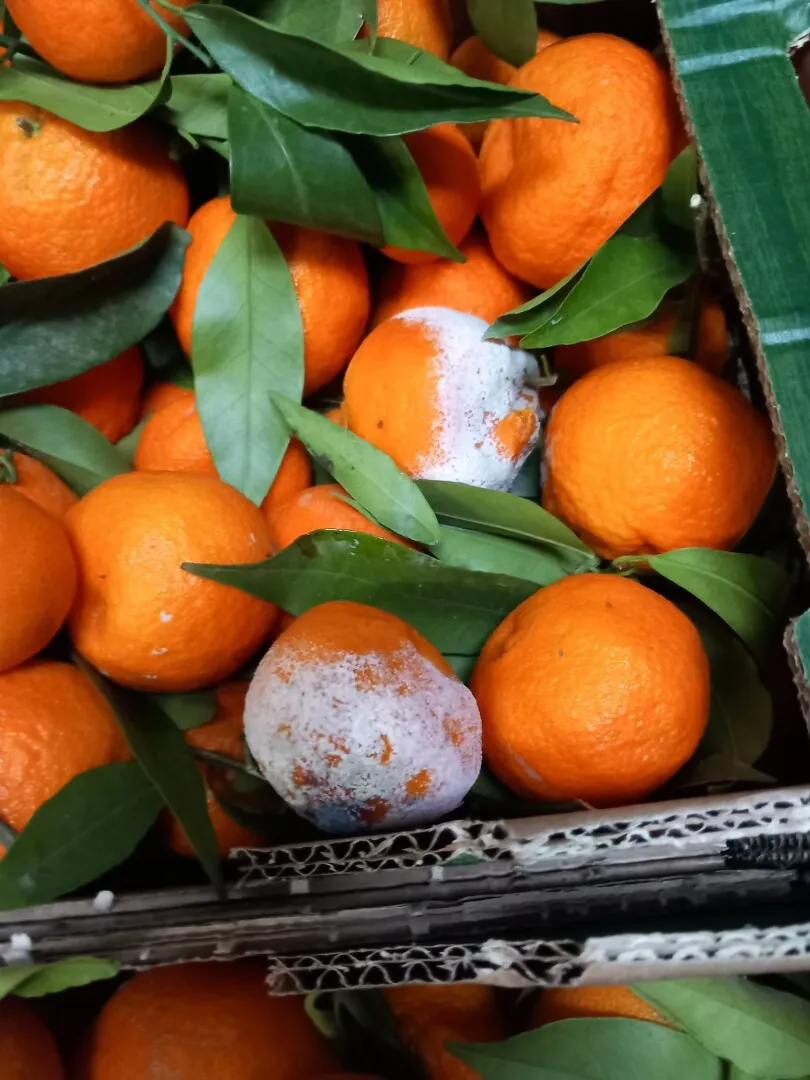 Șpagă cu elicopterul în retail: fost angajat Kaufland, condamnat după ce a primit mită de la afaceristul care a zguduit Poliția Română