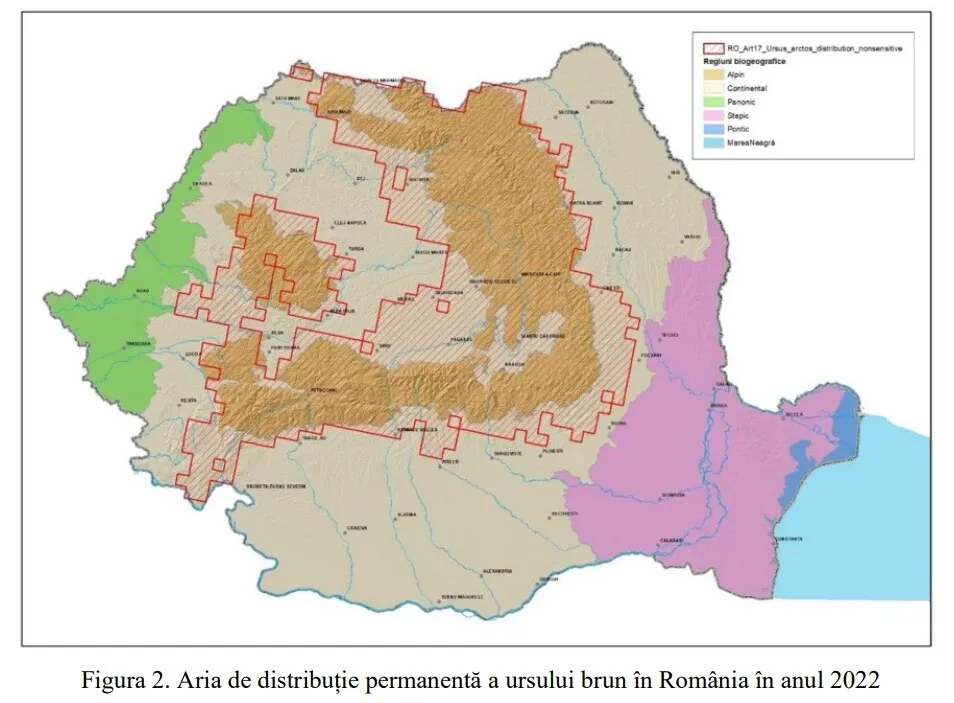 harta ursi harta ursi