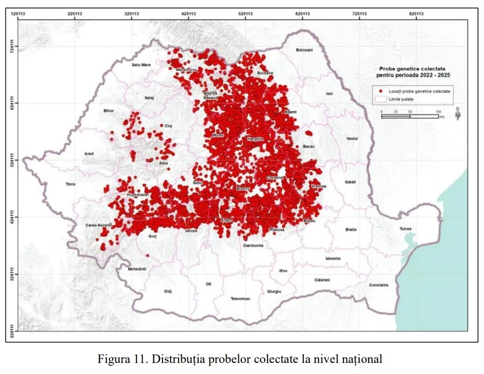 harta ursi harta ursi